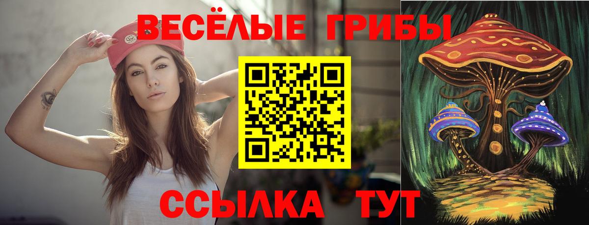 купить наркоту  Вход с VPN  Богородицк  Галлюциногенные грибы мицелий 