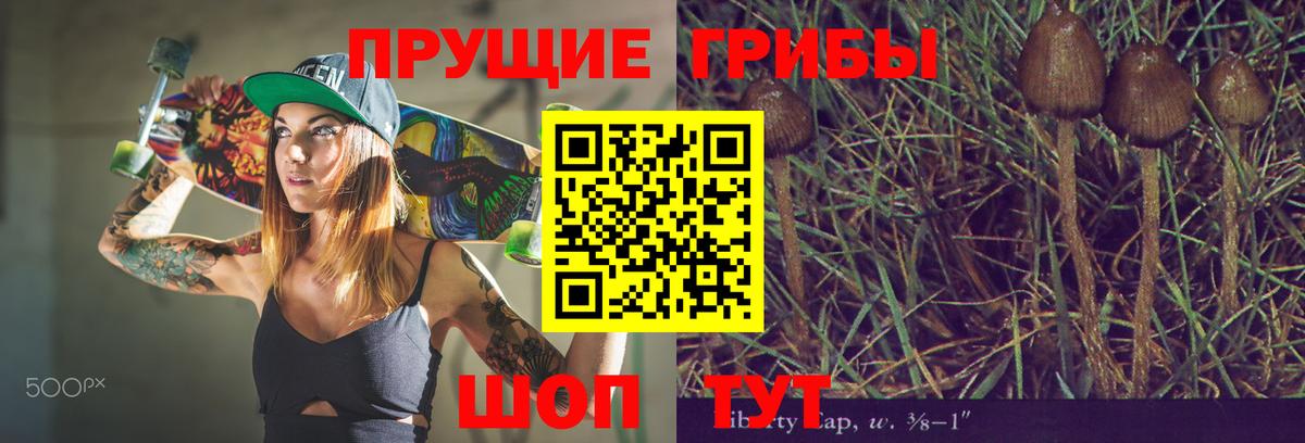 Галлюциногенные грибы Psilocybe Богородицк